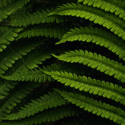 demo-attachment-560-daniel-mirlea-fxiAxNLpoqI-unsplash@2x